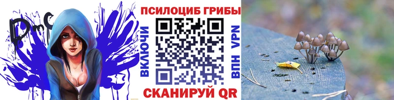 Галлюциногенные грибы Psilocybine cubensis Новомичуринск